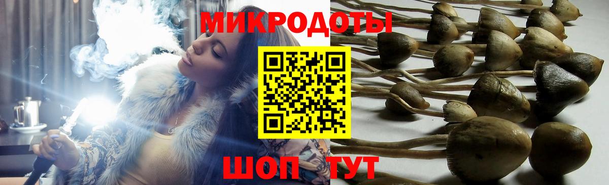Галлюциногенные грибы Magic Shrooms  Вход с VPN  Псилоцибиновые грибы мухоморы  Джанкой 